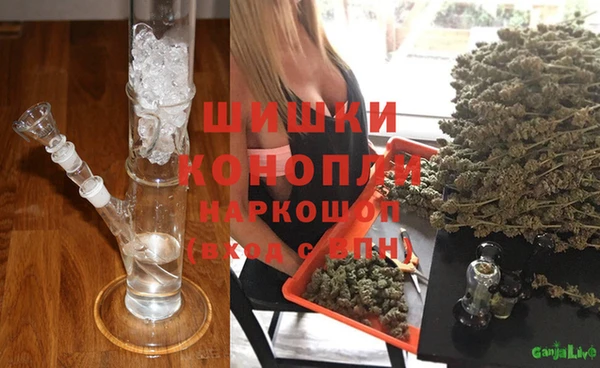 сатива Алексеевка
