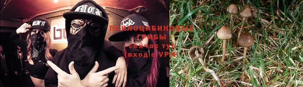 ПСИЛОЦИБИНОВЫЕ ГРИБЫ Медногорск